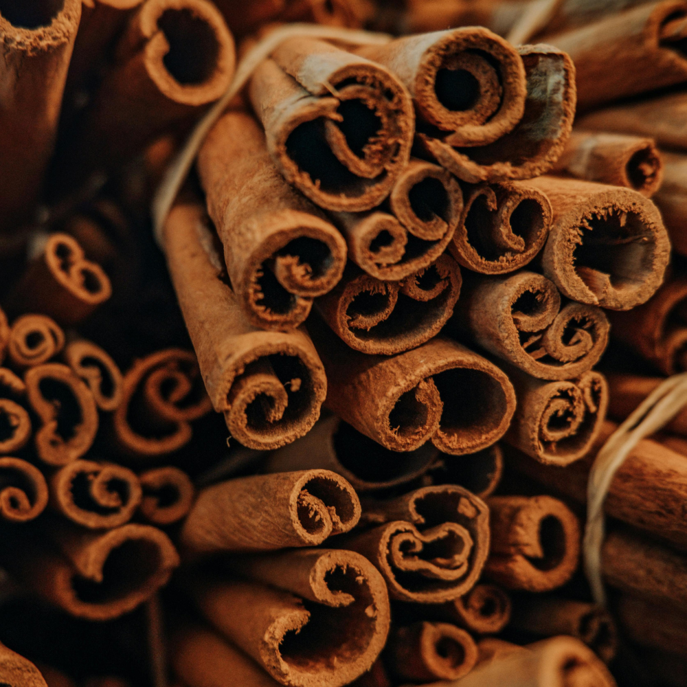 Premium Cinnamon Sticks (Dalchini) – Pure Natural Aromatic Whole Spice for Cooking and Tea | 5kg