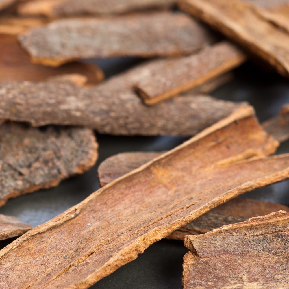 Premium Cigar Cassia (Dalchini Cassia) – Pure Natural Aromatic Whole Spice for Cooking and Masala | 5kg