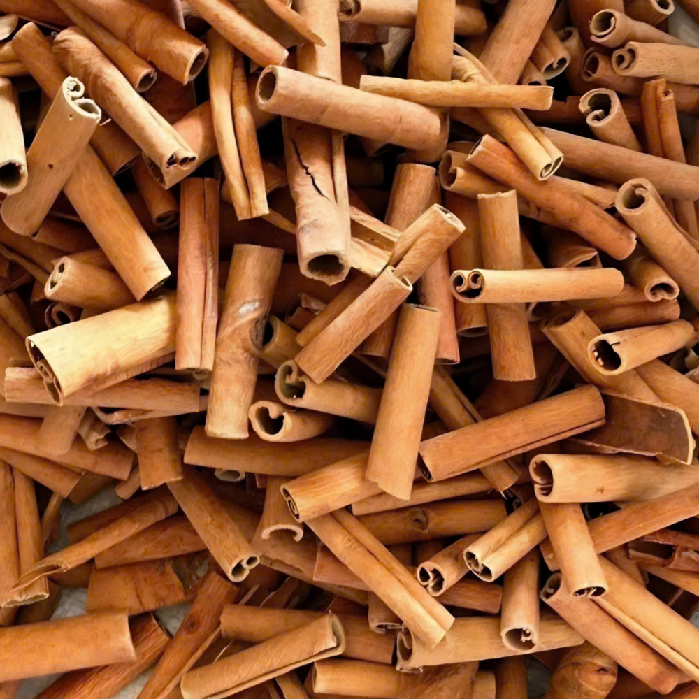 Premium Cigar Cassia (Dalchini Cassia) – Pure Natural Aromatic Whole Spice for Cooking and Masala | 5kg