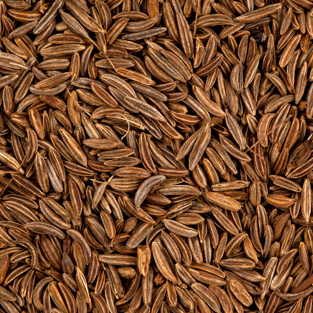 Premium Pure Caraway Seeds (Shahi Jeera) – Natural Aromatic Whole Spice for Cooking and Biryani | 5kg