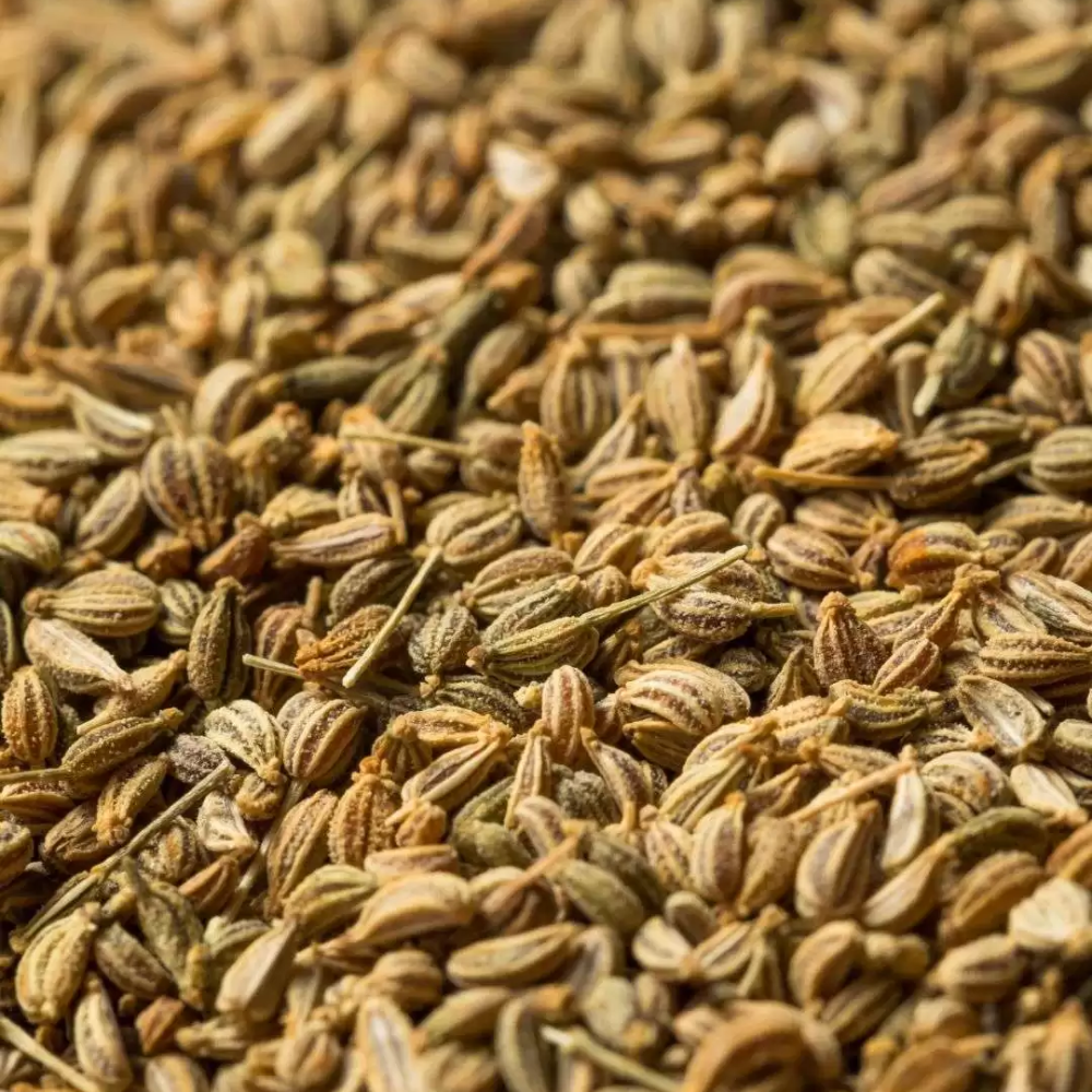 Premium Ajwain (Carom Seeds) – Pure Natural Aromatic Whole Spice for Cooking and Digestive Use | 5kg