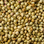 Premium Whole Coriander Seeds (Dhaniya) – Pure Natural Aromatic Spice for Cooking and Masala | 5kg
