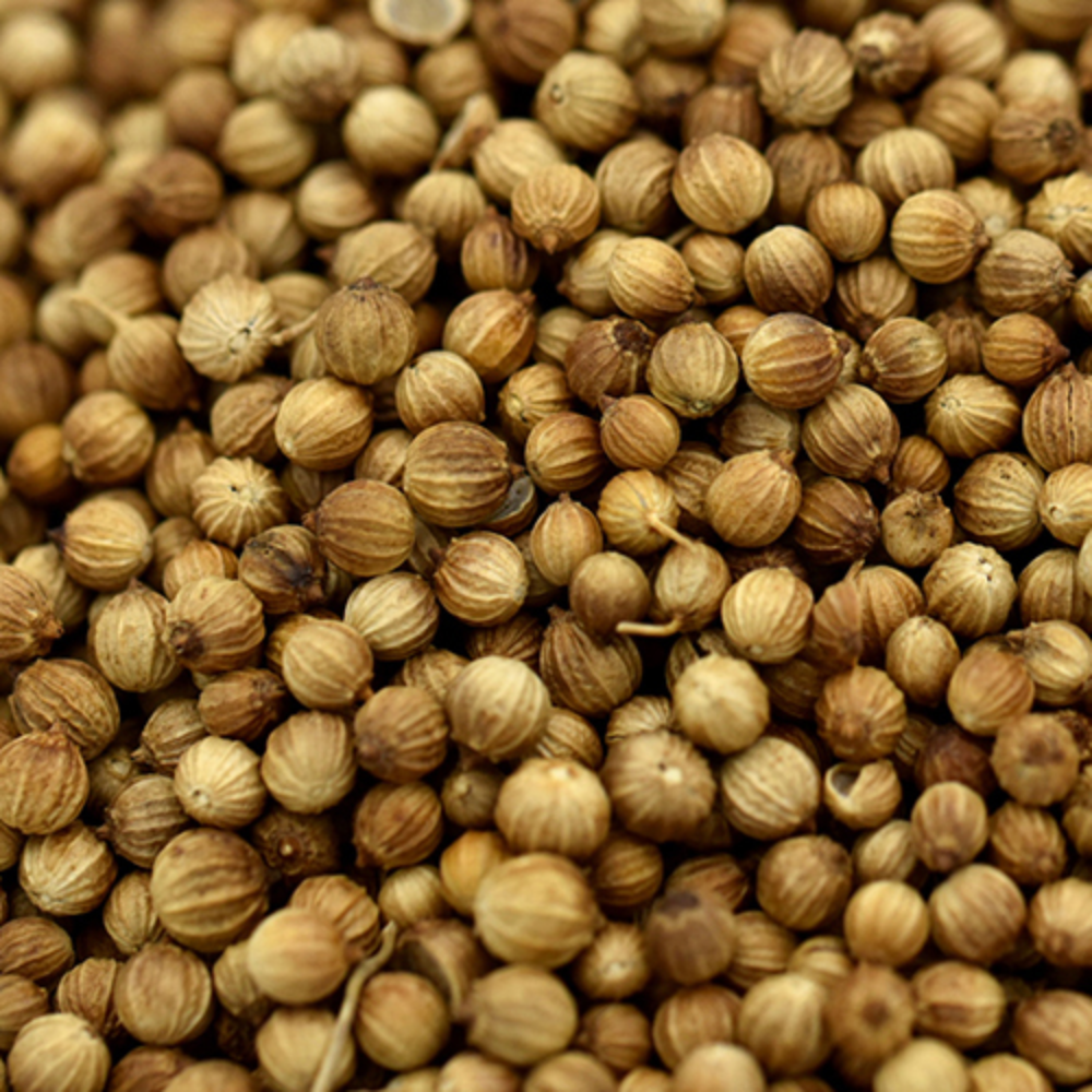 Premium Whole Coriander Seeds (Dhaniya) – Pure Natural Aromatic Spice for Cooking and Masala | 5kg